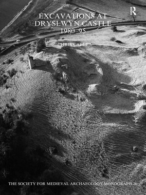 cover image of Excavations at Dryslwyn Castle 1980-1995